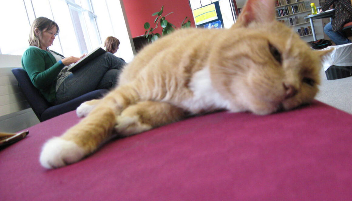 Victoria University Wellington Library (New Zealand)