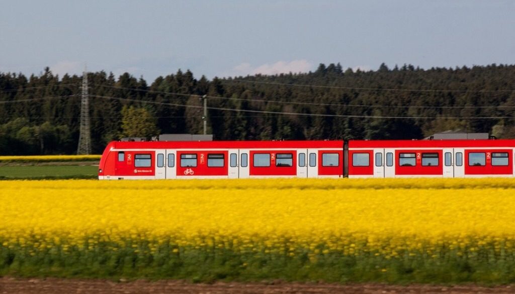 treno che corre in mezzo a fiori gialli