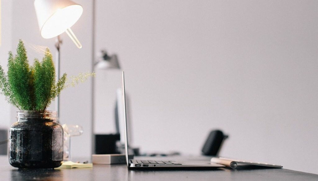 scrivania con pc, lampada, pianta