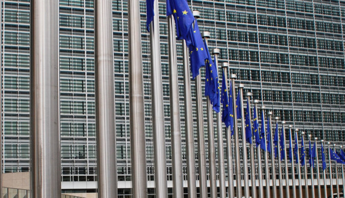 European Commission in Bruxelles