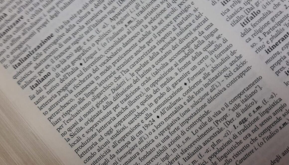 pagina dizionario italiano
