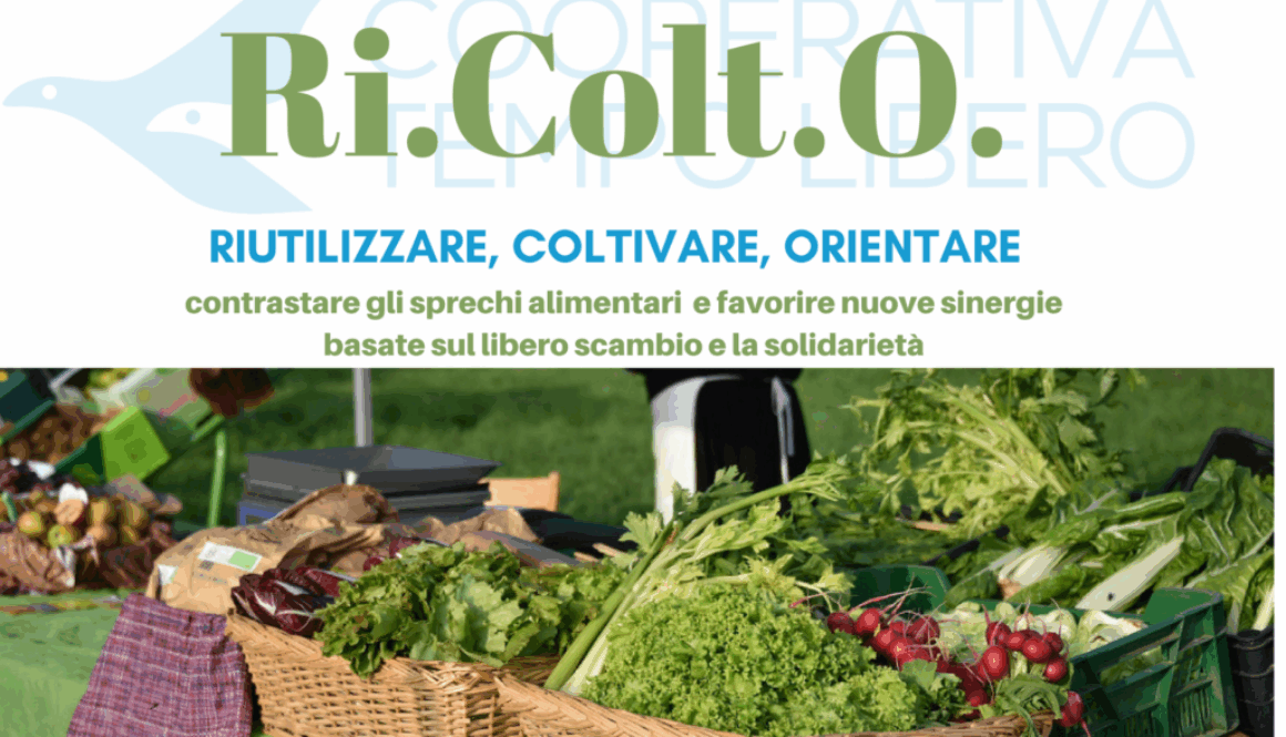 ricolto