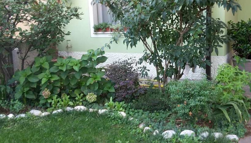 particolare di un giardino