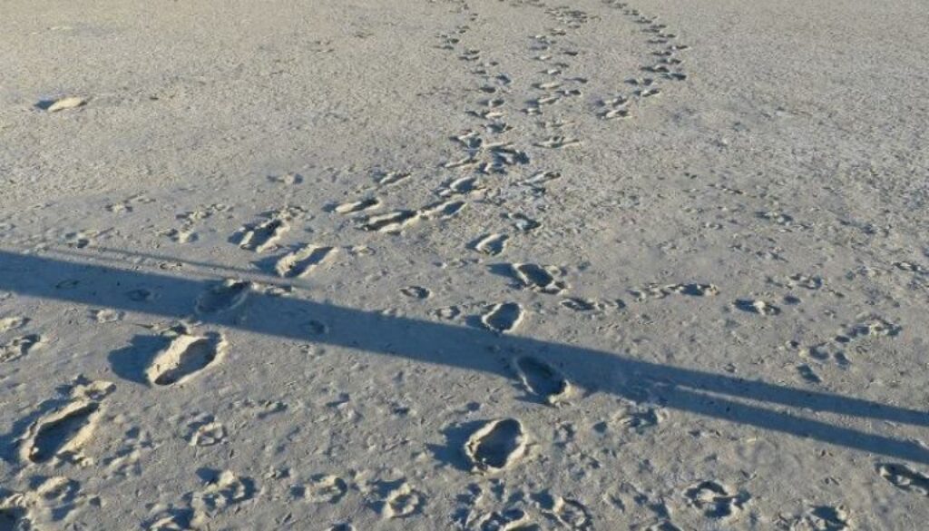 impronte di piede su terreno arido