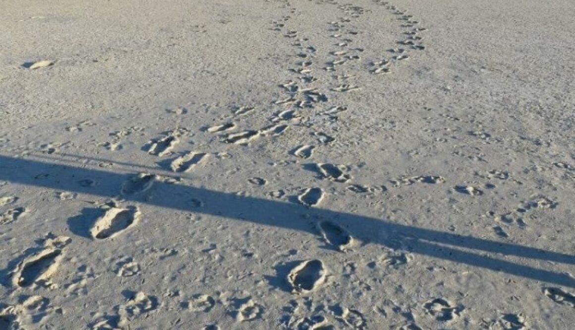 impronte di piede su terreno arido