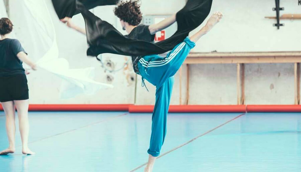 65 ballerini professionisti e coreografi a Vienna