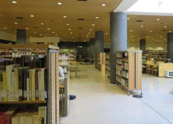 Bibliotecario: la passione per la lettura può diventare la tua professione