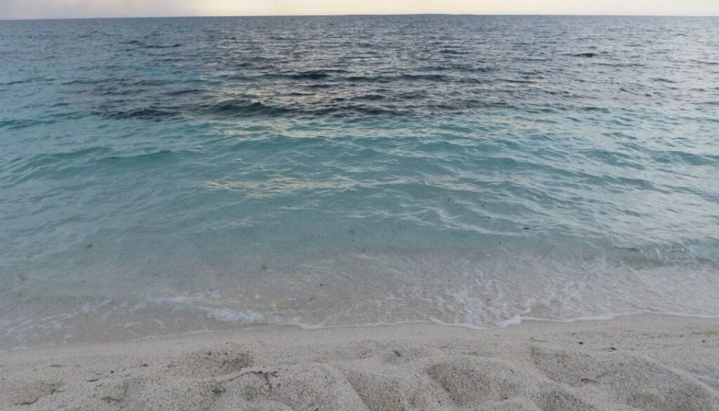 11750644_10205609016562497_9093471582090243240_n