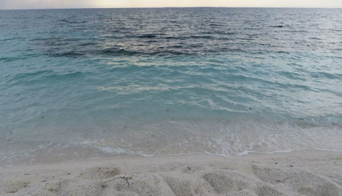 11750644_10205609016562497_9093471582090243240_n