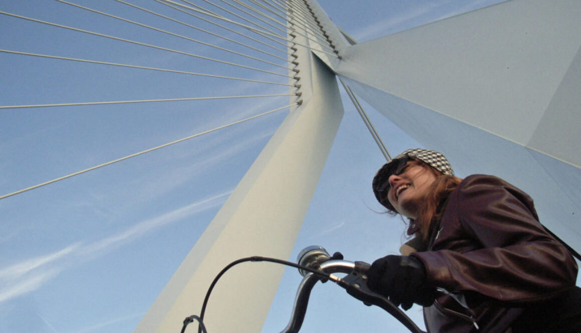 Erasmus bridge in Rotterdam