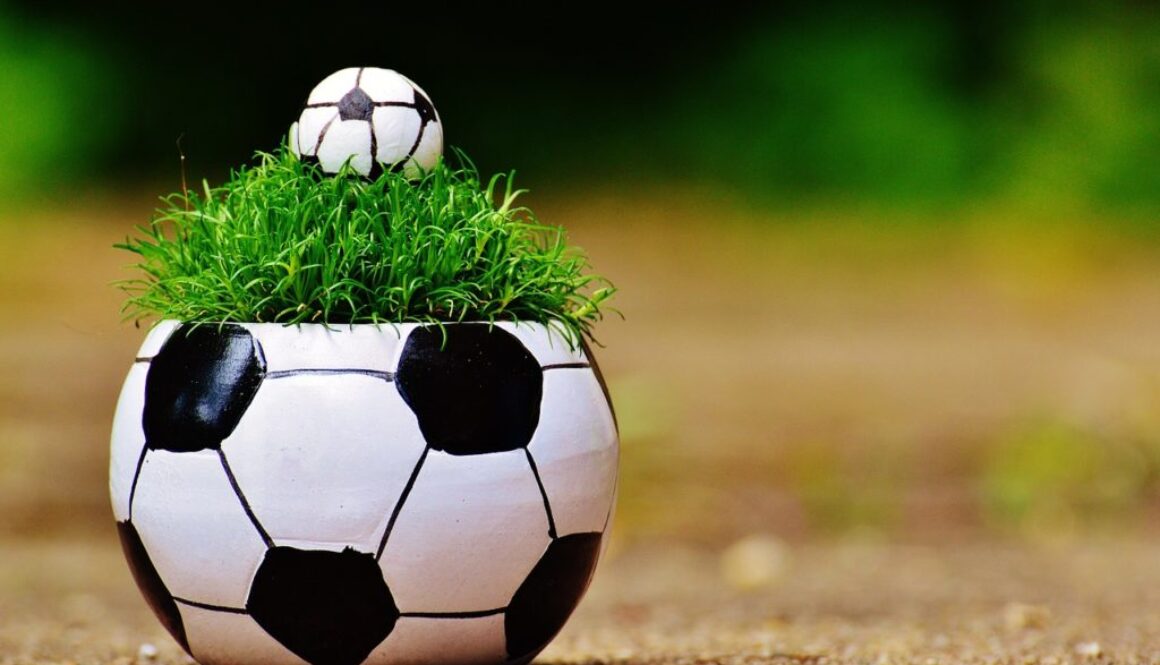 european-championship-1435812_1280