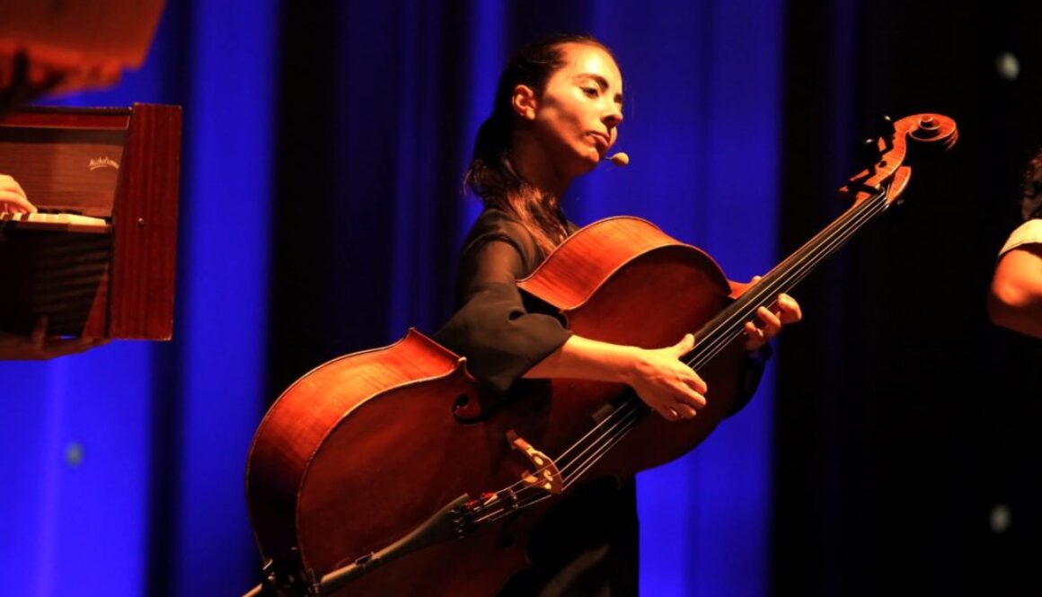 Aquilo Que Vocês Quiserem (Portugal)