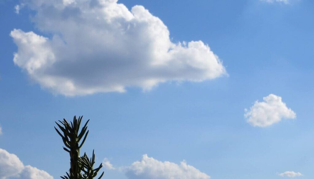 cactus e nuvole dalla finestra