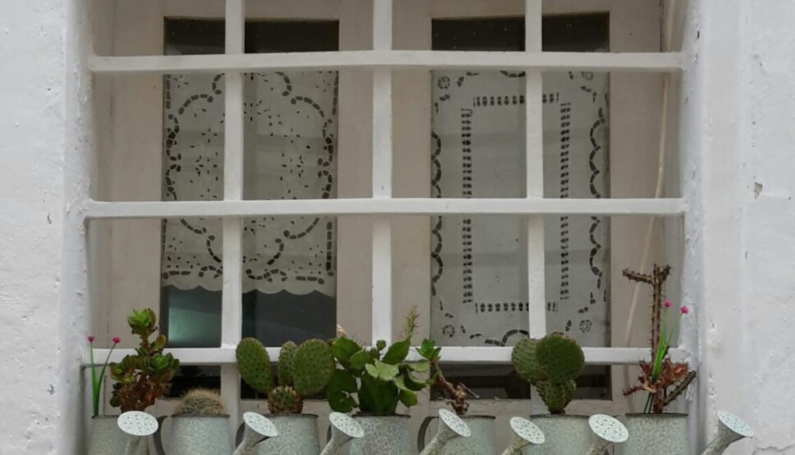 finestra con vasetti di piante grasse