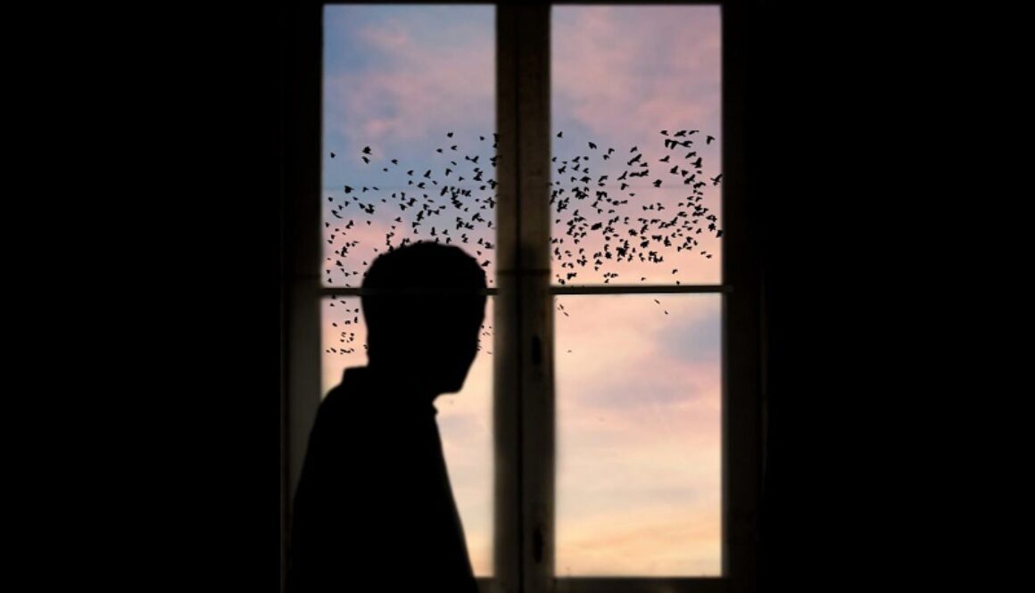 Immagine articolo Ilaria