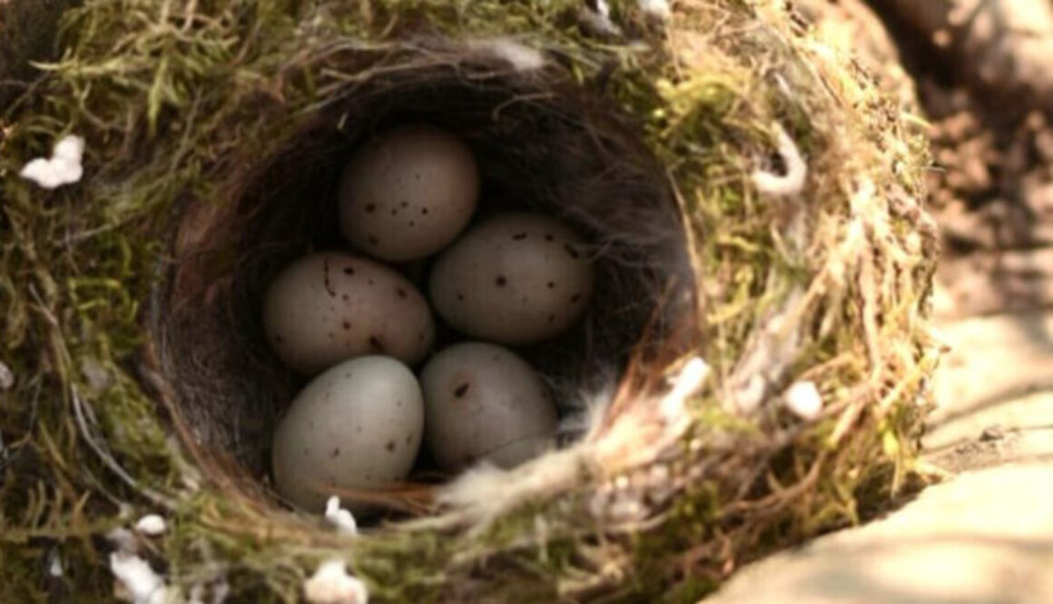 silenzio e semplicità