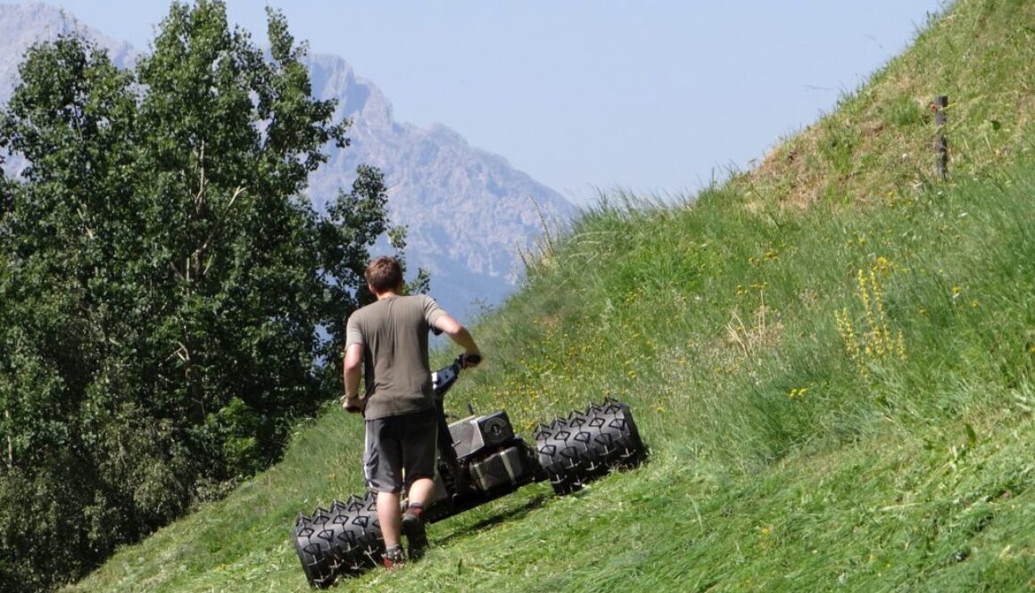 ragazzo che taglia l'erba su pendio di montagna
