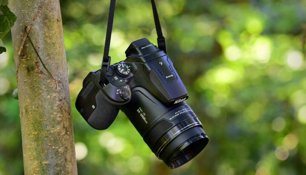 macchina fotografica appesa a un ramo. Concorsi fotografici: una selezione