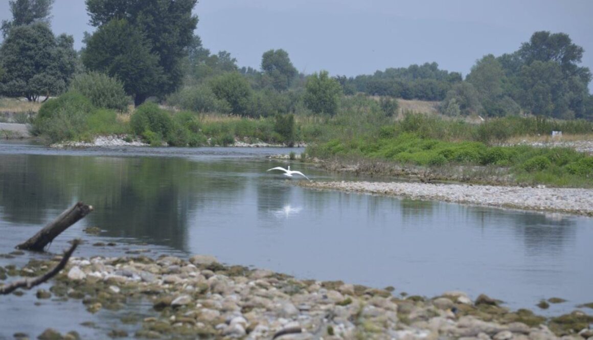 fiume chiese nei pressi di carpenedolo