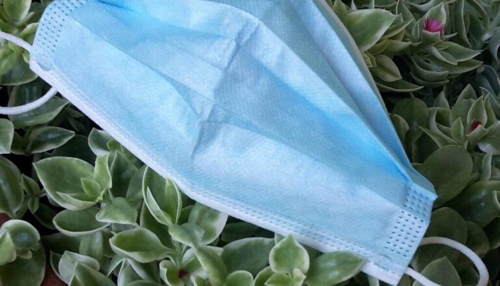 mascherina chirurgica appoggiata su piantina fiorita