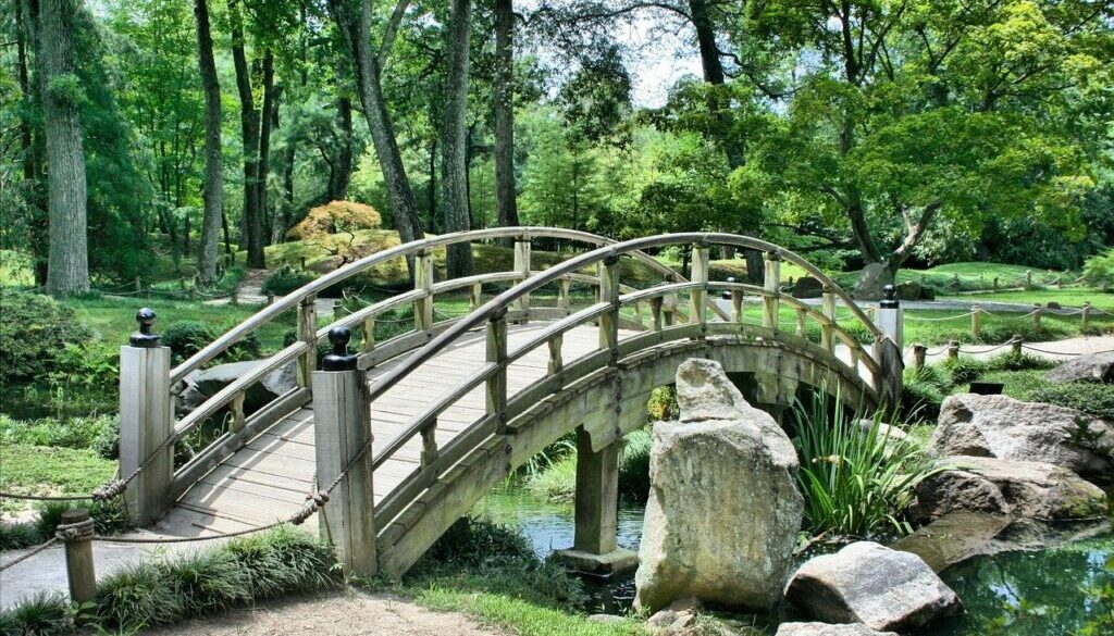ponte di legno in parco pubblico