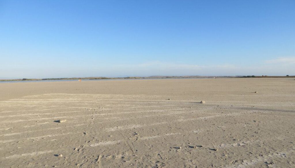 stagno sal e porcu sardegna