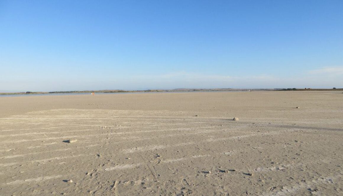 stagno sal e porcu sardegna