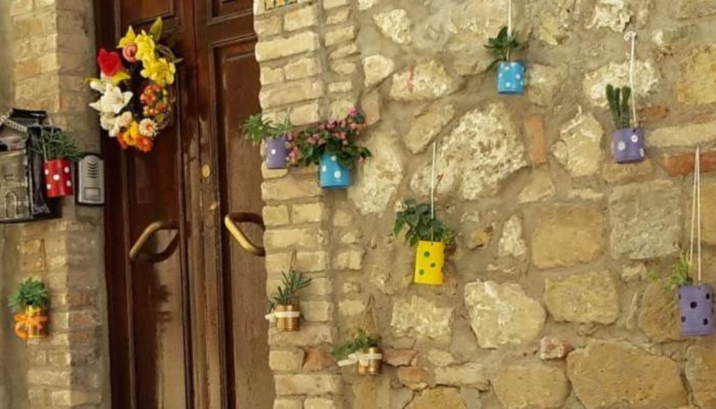 muro con vasetti colorati di piantine