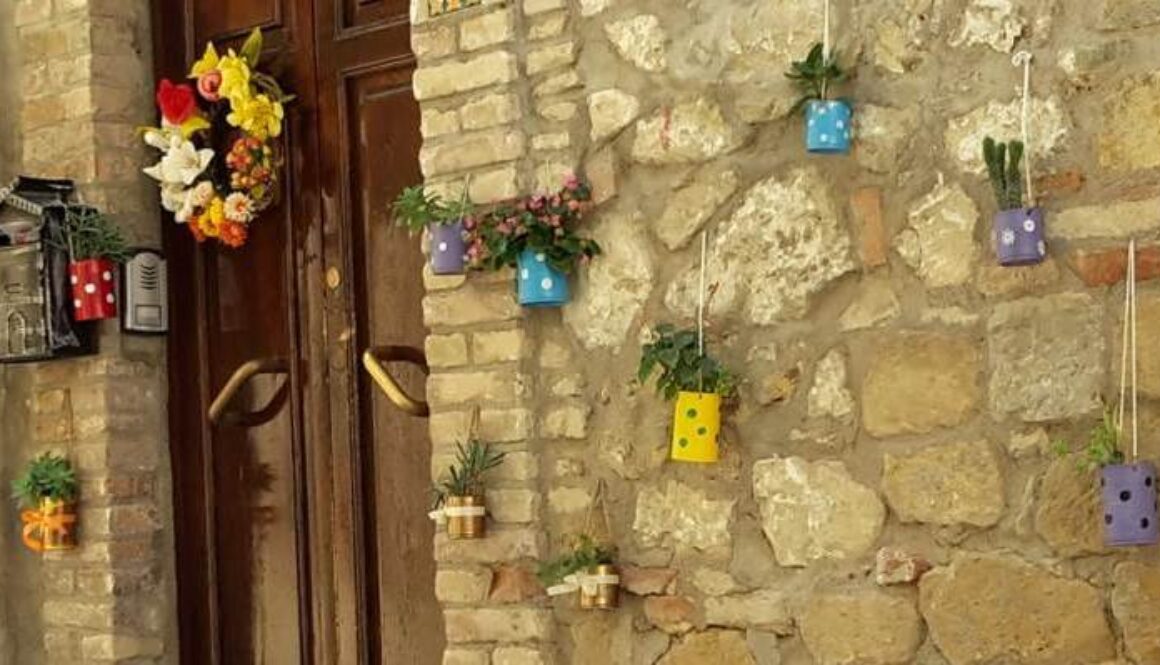 muro con vasetti colorati di piantine