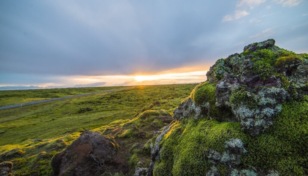 Icelandic government scholarschip 2020