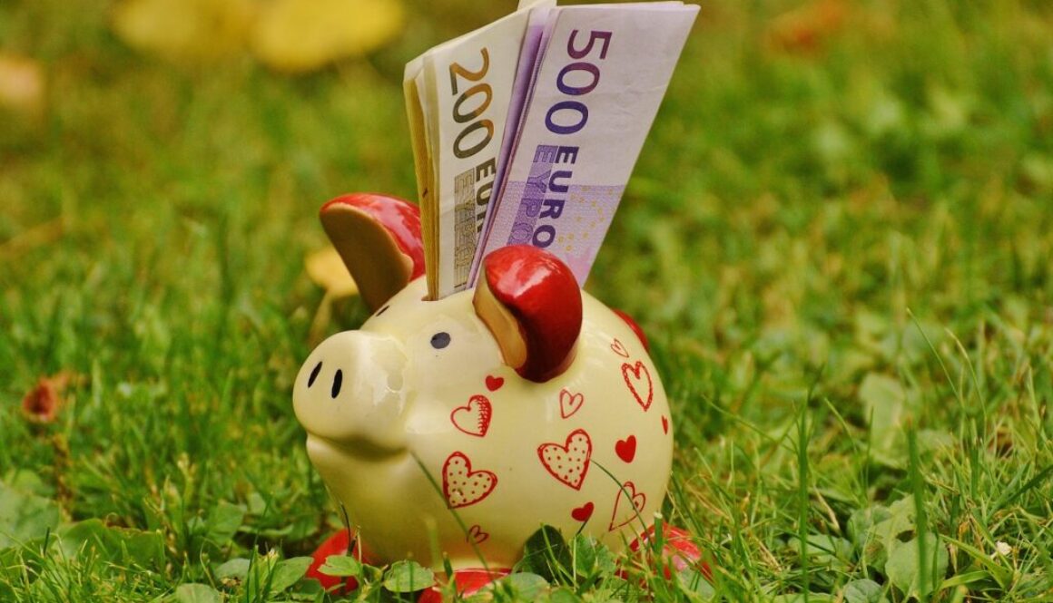 maialino salvadanaio nell'erba con euro