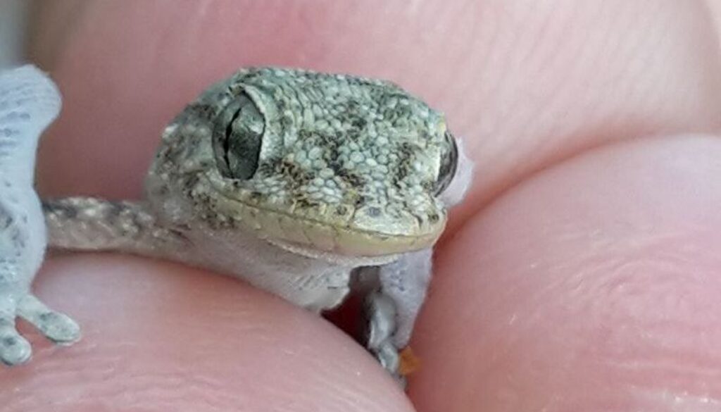 41479986_10214417416326986_3826322102705717248_o