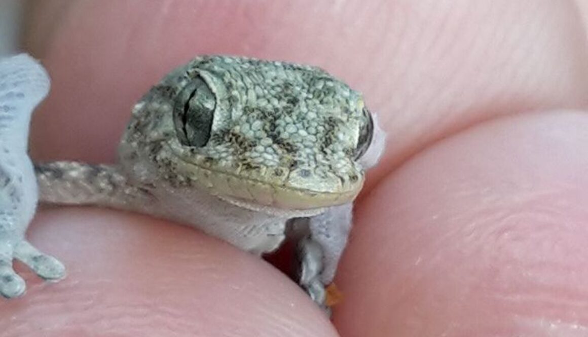 41479986_10214417416326986_3826322102705717248_o