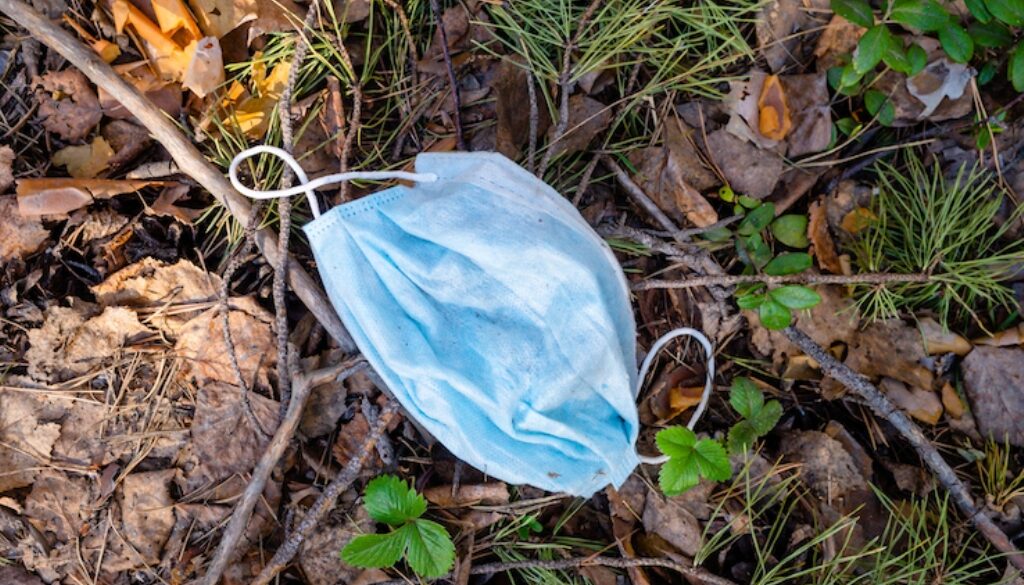 mascherina abbandonata nel bosco