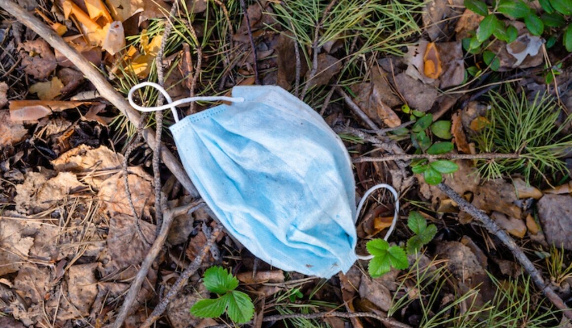 mascherina abbandonata nel bosco