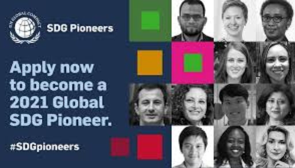 SDG pioneers