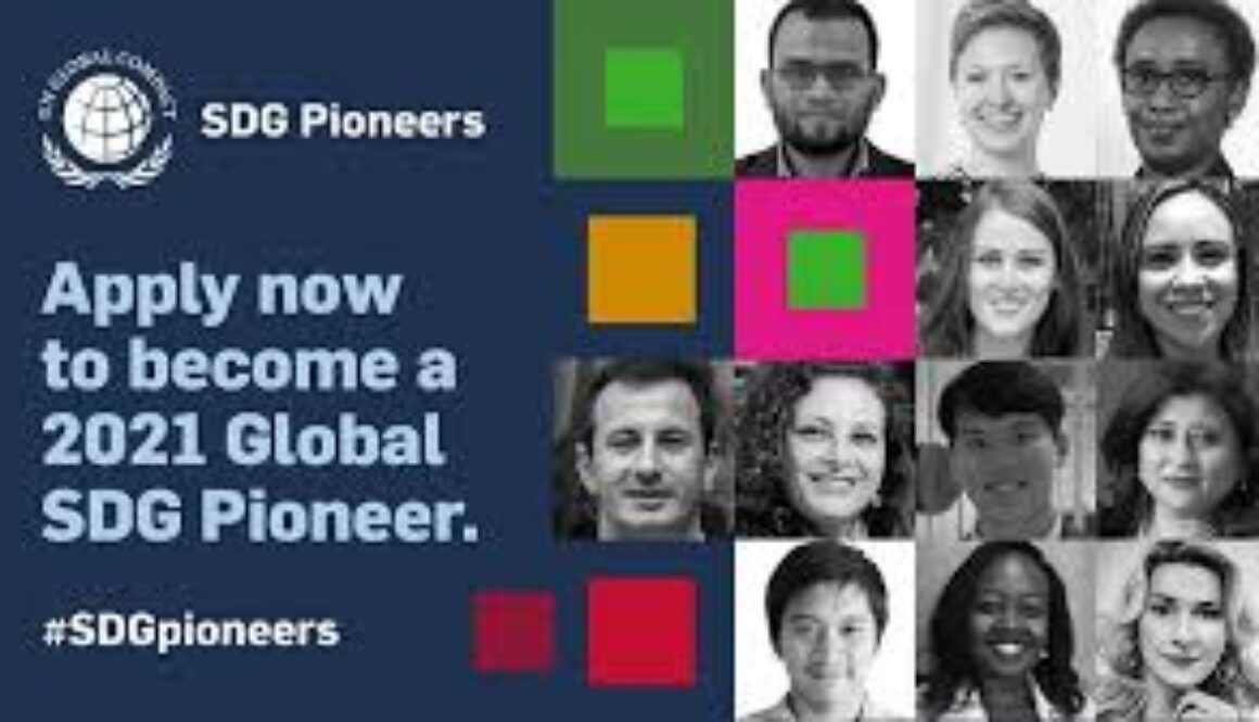 SDG pioneers