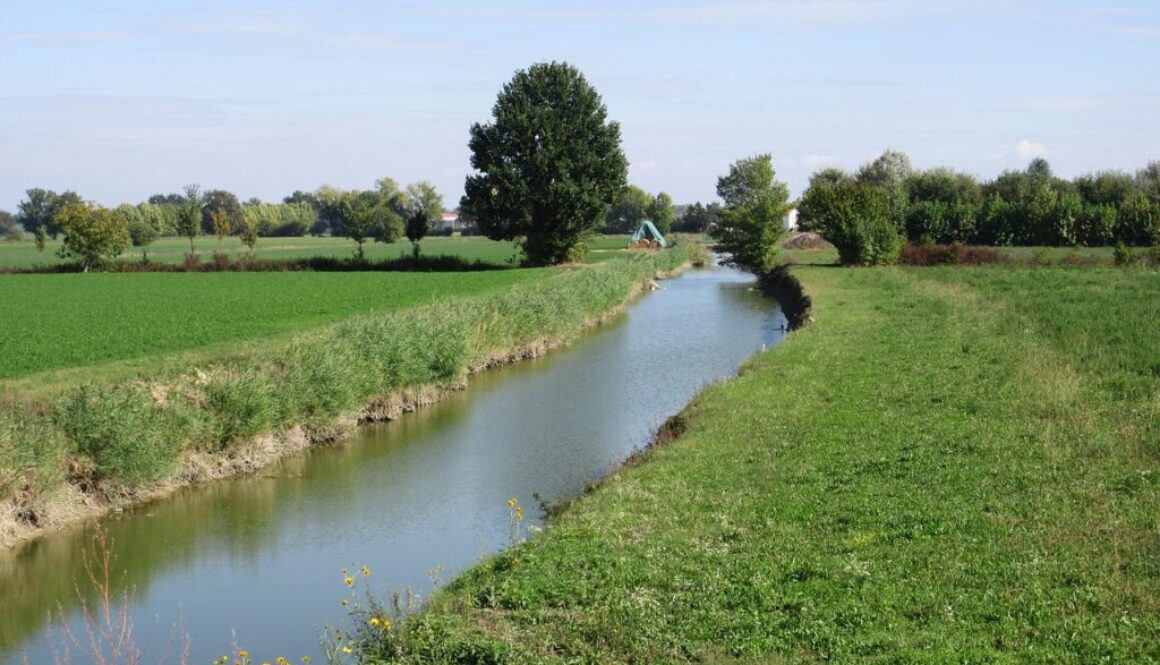 canale di campagna per l'irrigazione