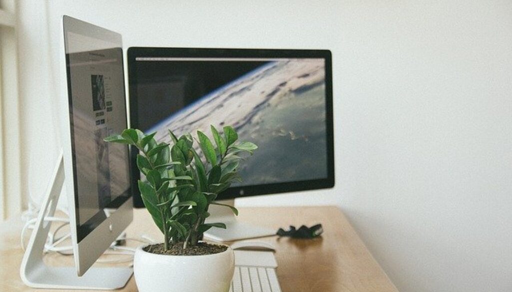 scrivania con computer, agenda, pianta