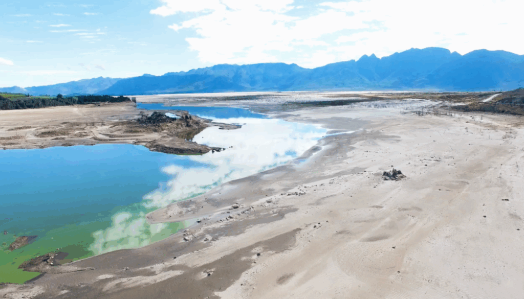 Bertha challenge 2021