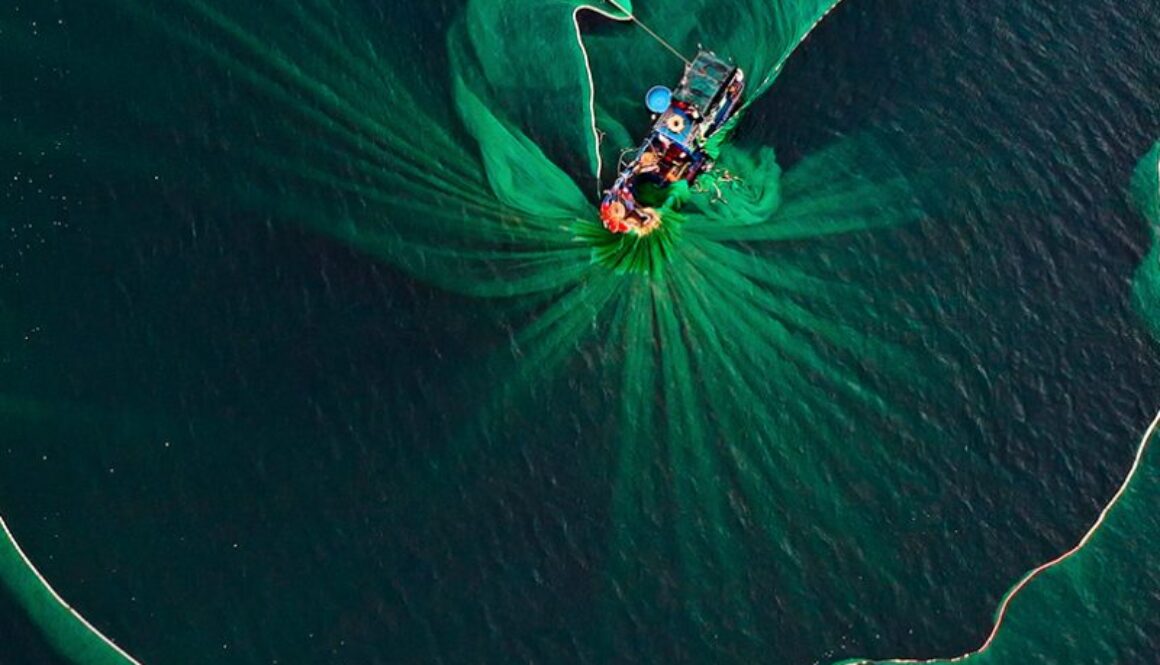 Environmental photographer of the year 2021