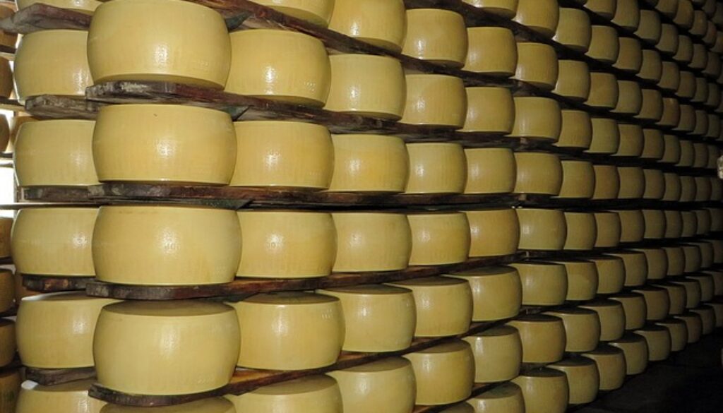 magazzino forme grana