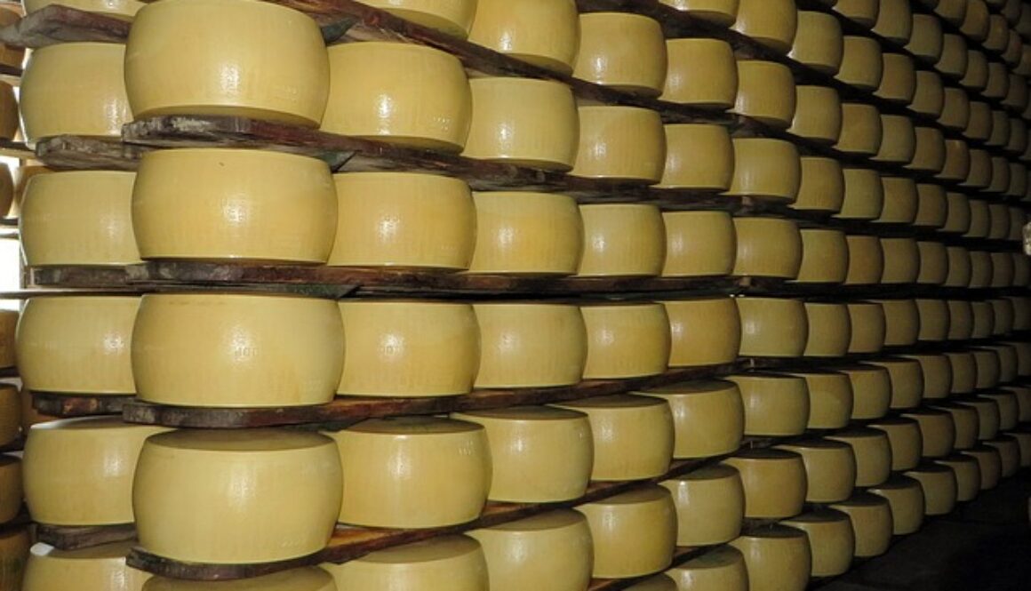 magazzino forme grana