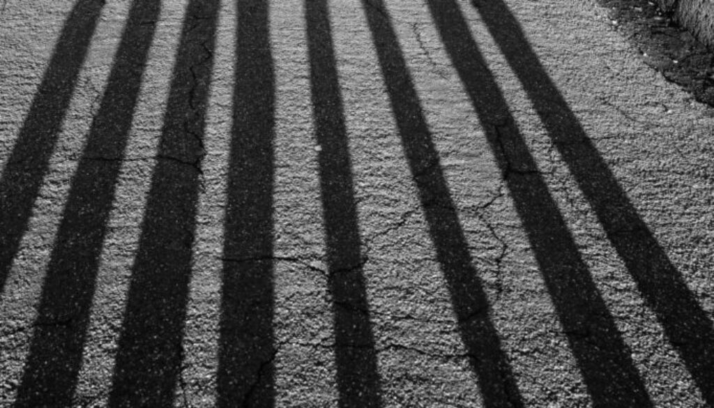 pexels-andreas-fickl-4405936