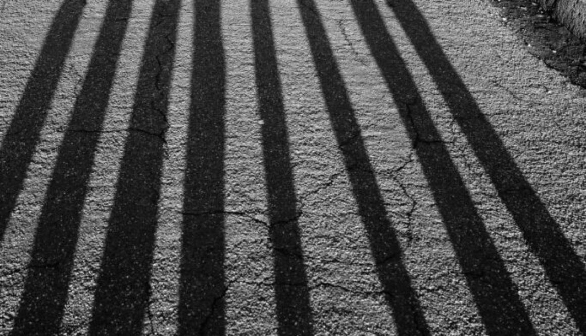 pexels-andreas-fickl-4405936