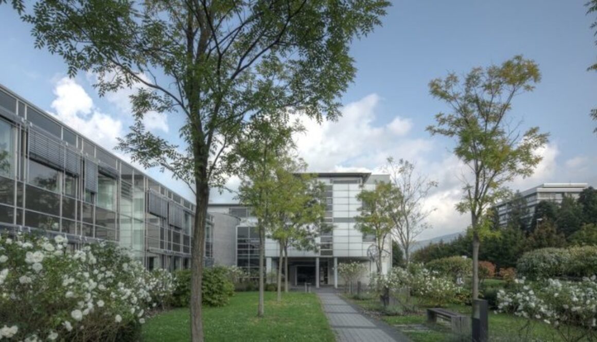 Max Planck Institute for Comparative Public Law and International Law,