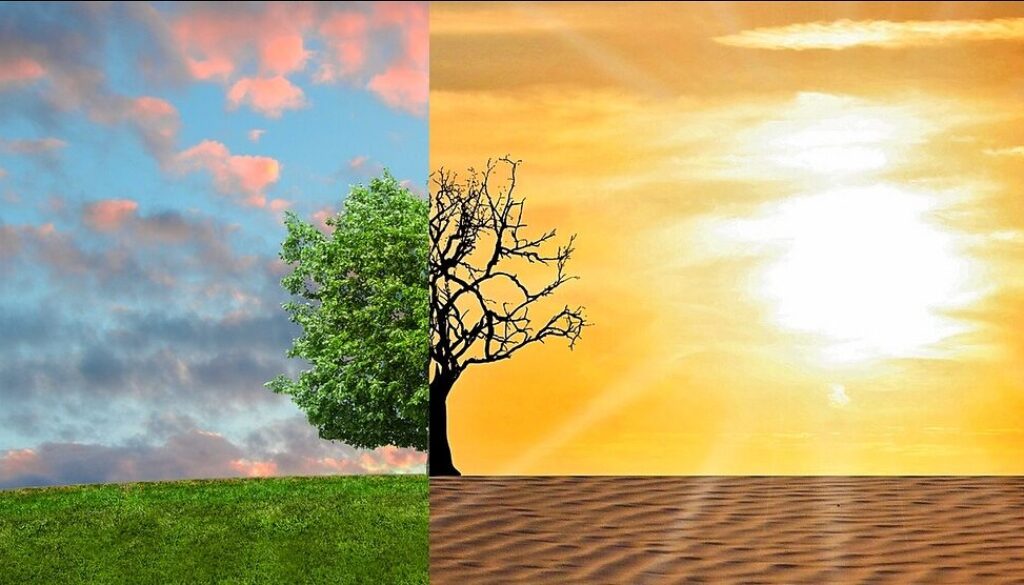 Youth exchange on climate change