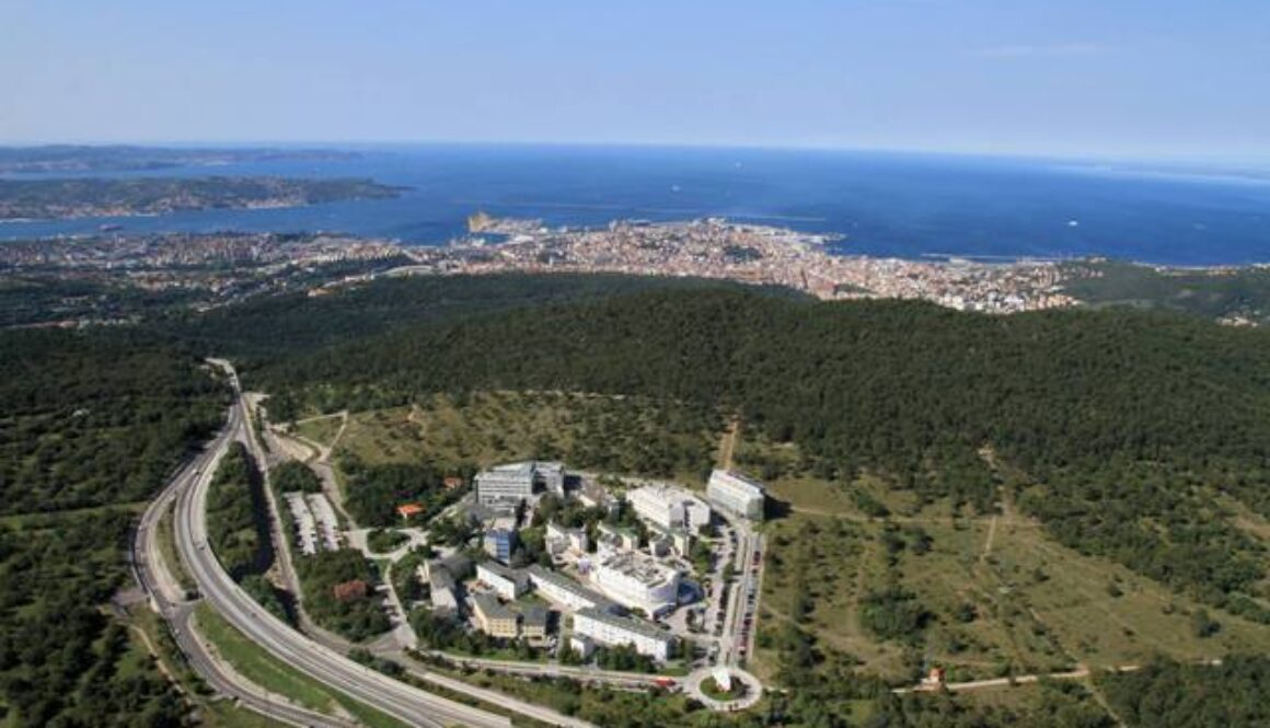 AREA Science Park di Trieste vista dall'alto
