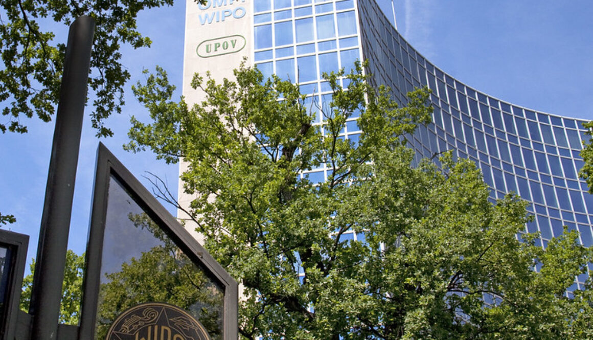 World Intellectual Property Organization WIPO