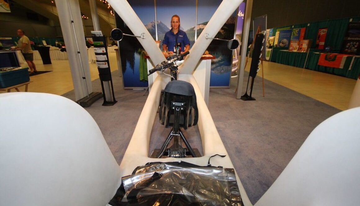 Sustainable transport at ICLEI 2009